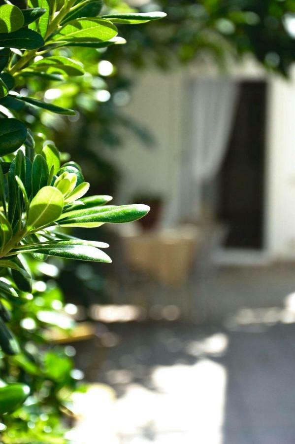 Green House Beach Hotel Mondello Exterior foto